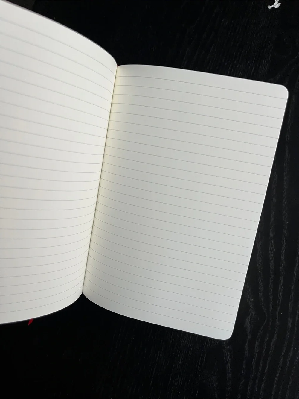 PAPERAGE Datadog Red Hardcover Lined Journal Notebook Bookmark 5.75x8 Inches